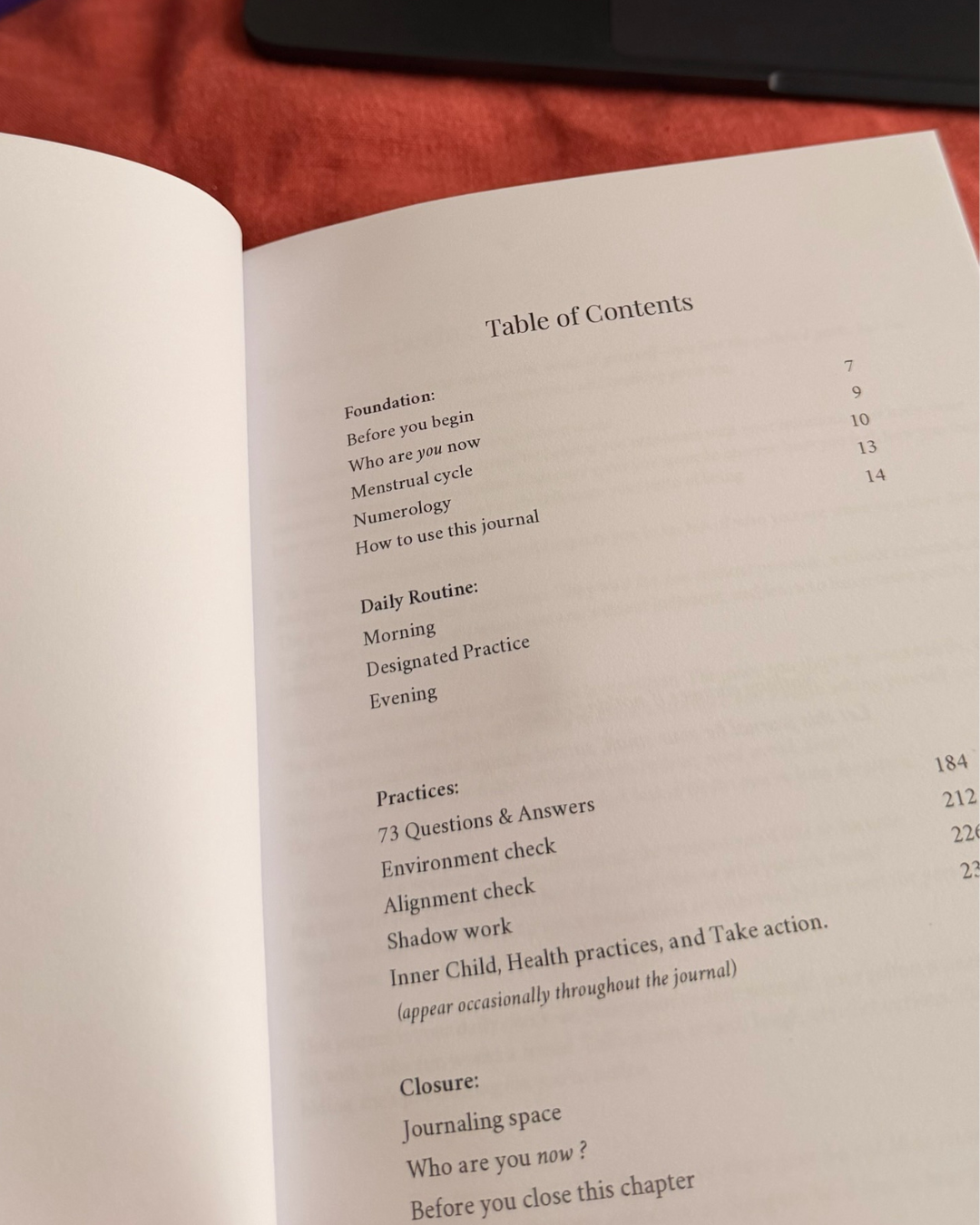 PRE-ORDER - The Sacred Mess, EN