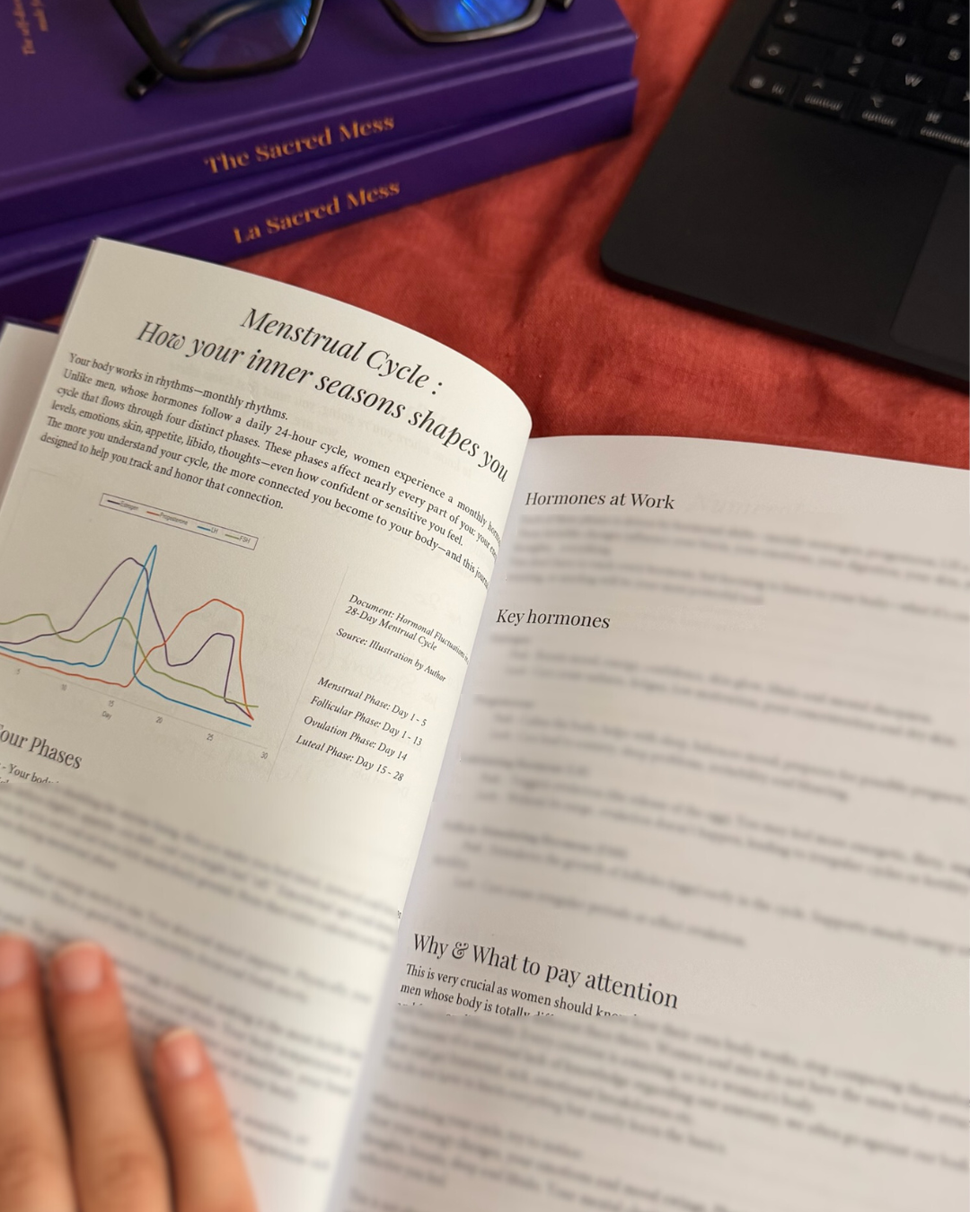 PRE-ORDER - The Sacred Mess, EN