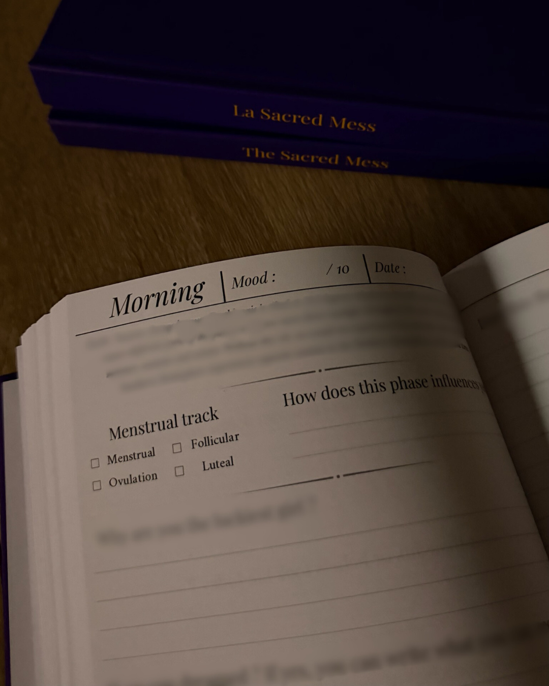 PRE-ORDER - The Sacred Mess, EN