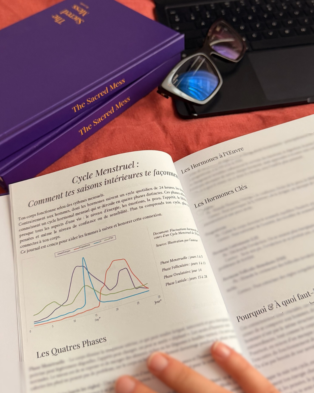 PRÉCOMMANDE - La Sacred Mess, FR